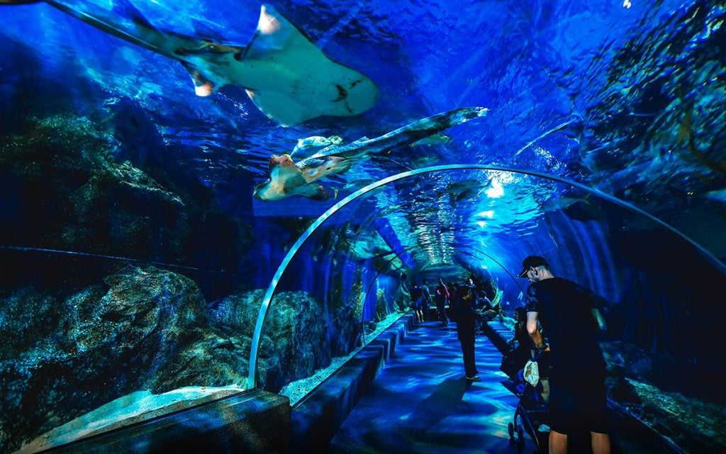 SEA LIFE Bangkok Ocean World