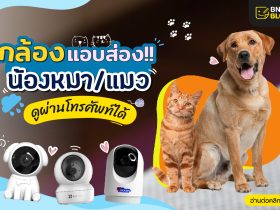 security-cam-for-pets