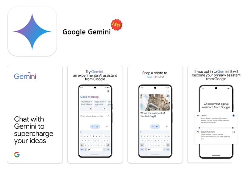 Google Gemini
